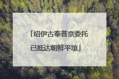 绍伊古奉普京委托已抵达朝鲜平壤