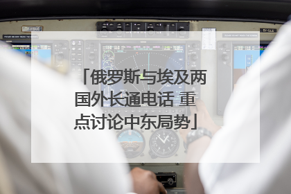 俄罗斯与埃及两国外长通电话 重点讨论中东局势