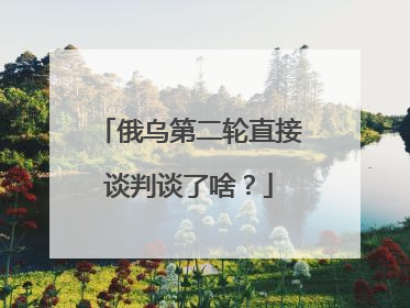 俄乌第二轮直接谈判谈了啥？