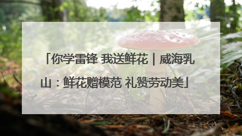 你学雷锋 我送鲜花｜威海乳山：鲜花赠模范 礼赞劳动美