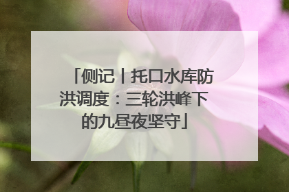 侧记丨托口水库防洪调度：三轮洪峰下的九昼夜坚守