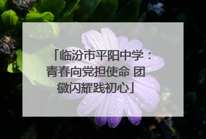 临汾市平阳中学：青春向党担使命 团徽闪耀践初心
