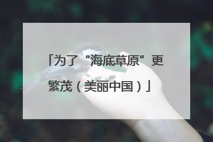 为了“海底草原”更繁茂（美丽中国）