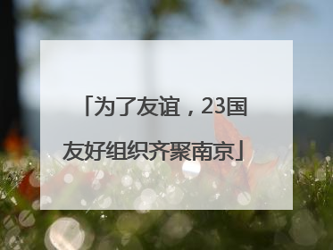为了友谊，23国友好组织齐聚南京