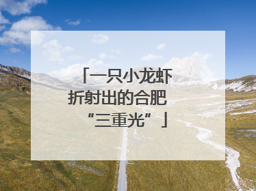 一只小龙虾折射出的合肥“三重光”