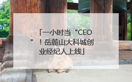 一小时当“CEO”！岳麓山大科城创业经纪人上线