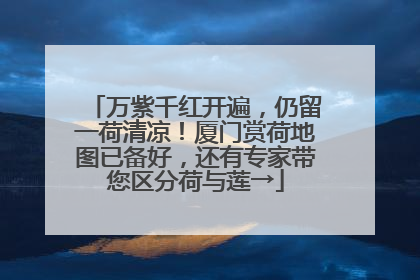 万紫千红开遍，仍留一荷清凉！厦门赏荷地图已备好，还有专家带您区分荷与莲→