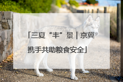 三夏“丰”景｜京冀携手共助粮食安全