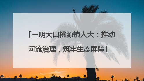 三明大田桃源镇人大：推动河流治理，筑牢生态屏障