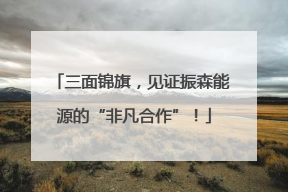 三面锦旗，见证振森能源的“非凡合作”！