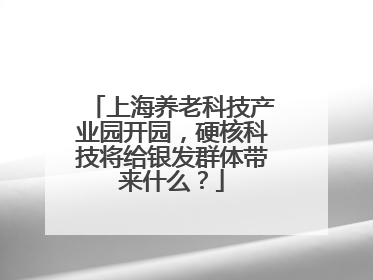 上海养老科技产业园开园，硬核科技将给银发群体带来什么？