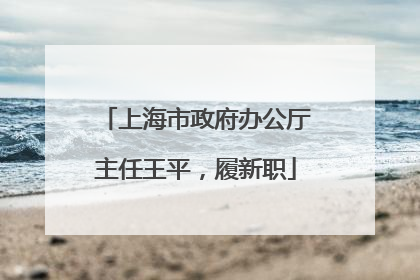 上海市政府办公厅主任王平，履新职