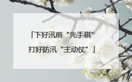 下好汛前“先手棋” 打好防汛“主动仗”
