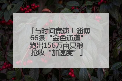 与时间竞速！淄博66条“金色通道”跑出156万亩夏粮抢收“加速度”