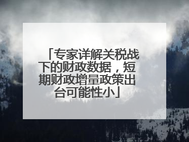 专家详解关税战下的财政数据，短期财政增量政策出台可能性小