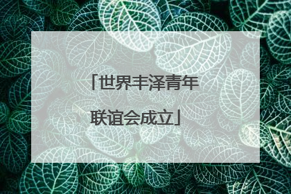 世界丰泽青年联谊会成立