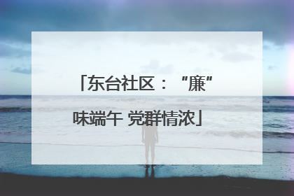 东台社区：“廉”味端午 党群情浓