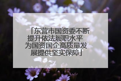 东营市国资委不断提升依法履职水平 为国资国企高质量发展提供坚实保障