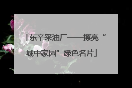 东辛采油厂——擦亮“城中家园”绿色名片