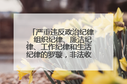 严重违反政治纪律、组织纪律、廉洁纪律、工作纪律和生活纪律的罗璇，非法收受他人巨额财物