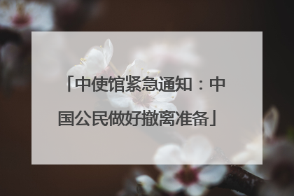 中使馆紧急通知：中国公民做好撤离准备