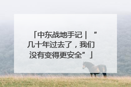 中东战地手记｜“几十年过去了，我们没有变得更安全”