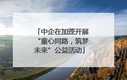 中企在加蓬开展“童心同路，筑梦未来”公益活动