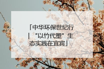 中华环保世纪行｜“以竹代塑”生态实践在宜宾