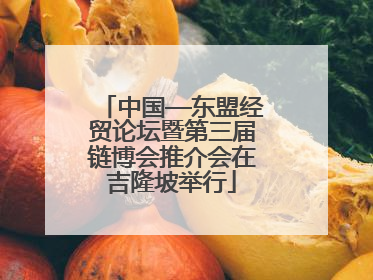 中国—东盟经贸论坛暨第三届链博会推介会在吉隆坡举行