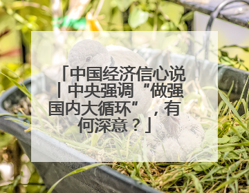 中国经济信心说丨中央强调“做强国内大循环”，有何深意？