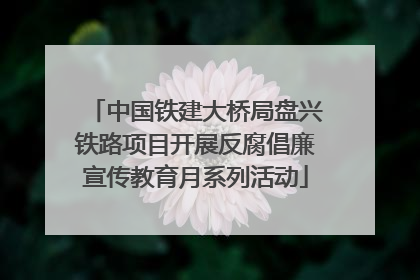 中国铁建大桥局盘兴铁路项目开展反腐倡廉宣传教育月系列活动