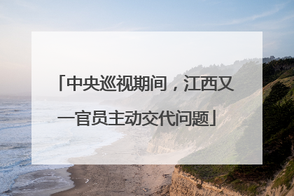 中央巡视期间，江西又一官员主动交代问题