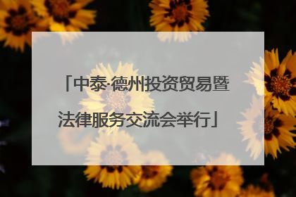 中泰·德州投资贸易暨法律服务交流会举行