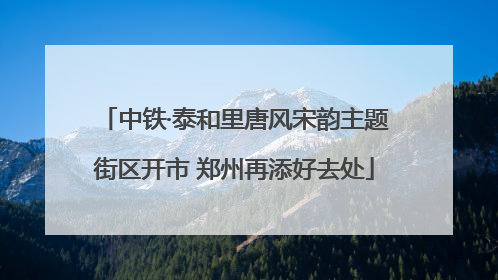 中铁·泰和里唐风宋韵主题街区开市 郑州再添好去处