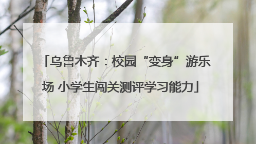 乌鲁木齐：校园“变身”游乐场 小学生闯关测评学习能力