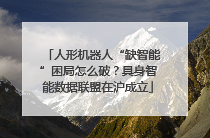 人形机器人“缺智能”困局怎么破？具身智能数据联盟在沪成立