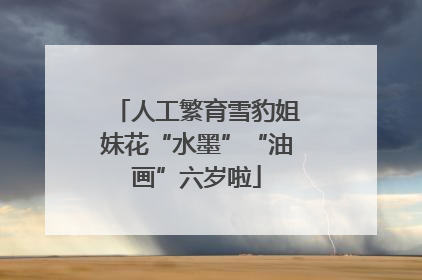 人工繁育雪豹姐妹花“水墨”“油画”六岁啦