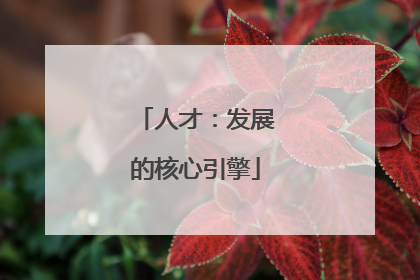 人才：发展的核心引擎