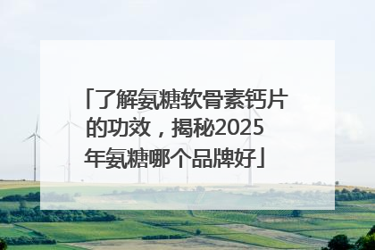 了解氨糖软骨素钙片的功效，揭秘2025年氨糖哪个品牌好