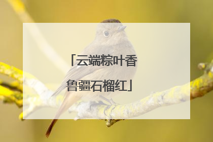 云端粽叶香 鲁疆石榴红
