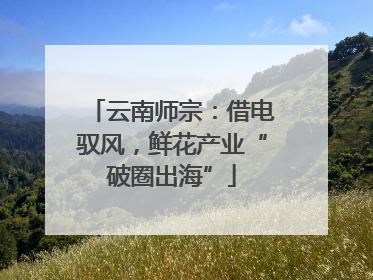 云南师宗：借电驭风，鲜花产业“破圈出海”
