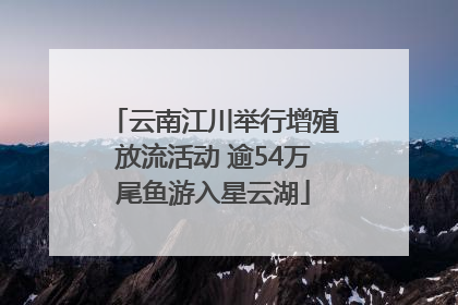 云南江川举行增殖放流活动 逾54万尾鱼游入星云湖