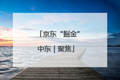 京东“掘金”中东｜聚焦
