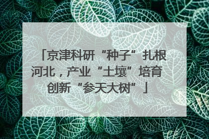 京津科研“种子”扎根河北，产业“土壤”培育创新“参天大树”