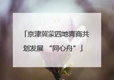 京津冀蒙四地青商共划发展 “同心舟”