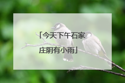 今天下午石家庄阴有小雨