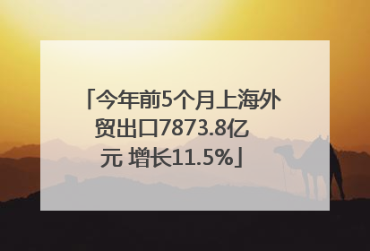 今年前5个月上海外贸出口7873.8亿元 增长11.5%