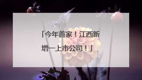 今年首家！江西新增一上市公司！