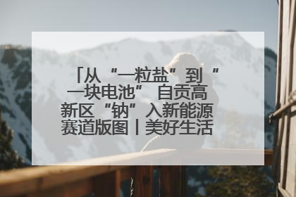 从“一粒盐”到“一块电池” 自贡高新区“钠”入新能源赛道版图丨美好生活有“盐”味