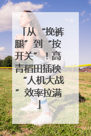 从“挽裤腿”到“按开关”！高青稻田插秧“人机大战”效率拉满